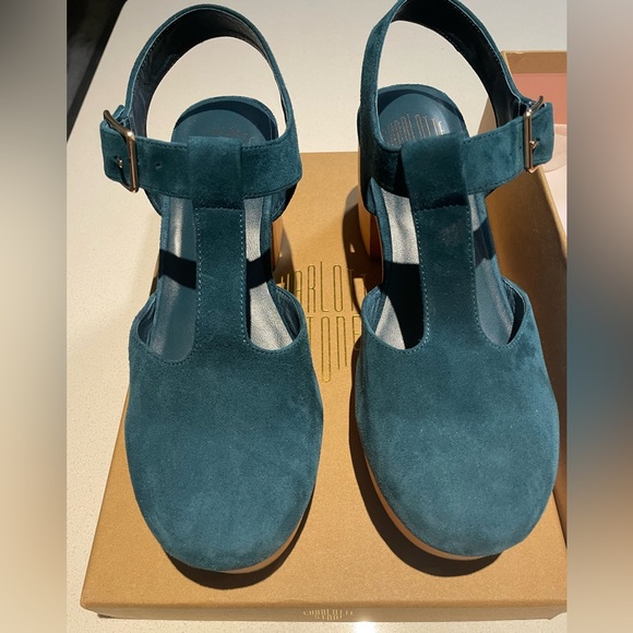 Charlotte Stone Shoes - Stunning Charlotte Stone t-strap clogs